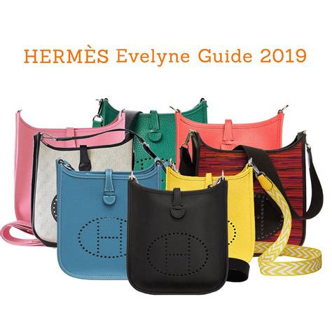 hermes evelyn coin purse|Hermes 101 purse.